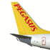 Pegasus Airlines logo